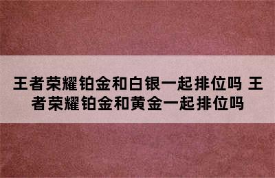 王者荣耀铂金和白银一起排位吗 王者荣耀铂金和黄金一起排位吗